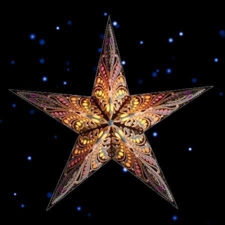 Starlightz Earth Friendly Leuchtstern Queen of Java 60 cm