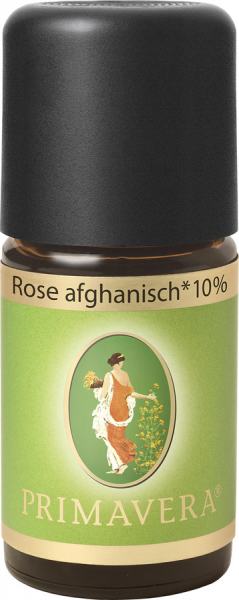 Primavera Ätherisches Öl Rose afghanisch* bio 10% 5ml