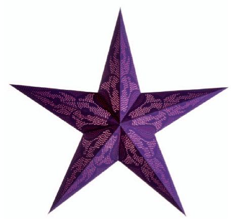 Starlightz Leuchtstern Damaskus violet 60 cm